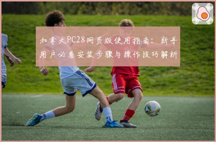 加拿大PC28网页版使用指南：新手用户必看安装步骤与操作技巧解析