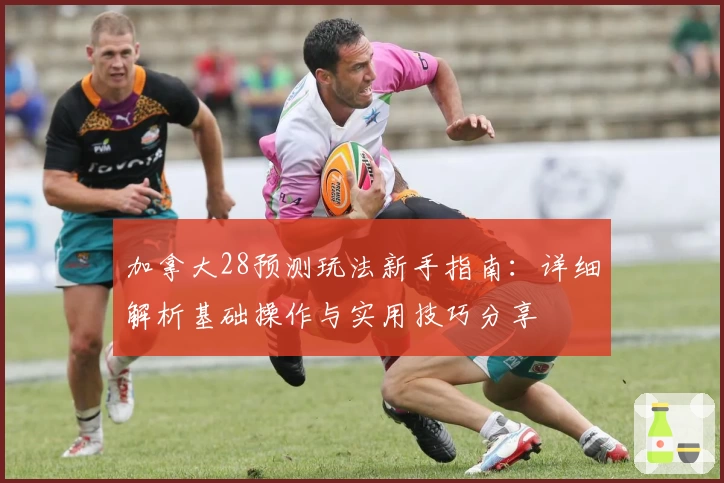 加拿大28预测玩法新手指南：详细解析基础操作与实用技巧分享
