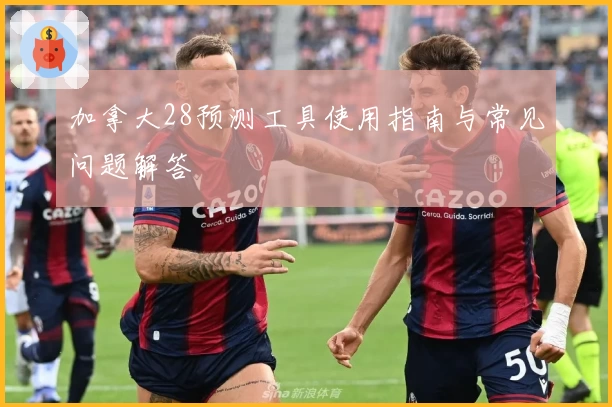 加拿大28预测工具使用指南与常见问题解答