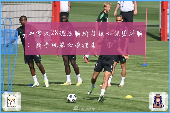 加拿大28玩法解析与核心优势详解:新手玩家必读指南