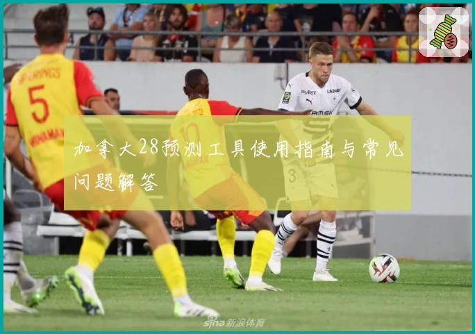 加拿大28预测工具使用指南与常见问题解答
