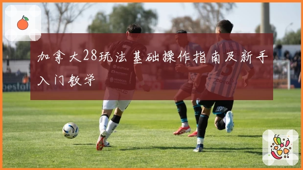 加拿大28玩法基础操作指南及新手入门教学