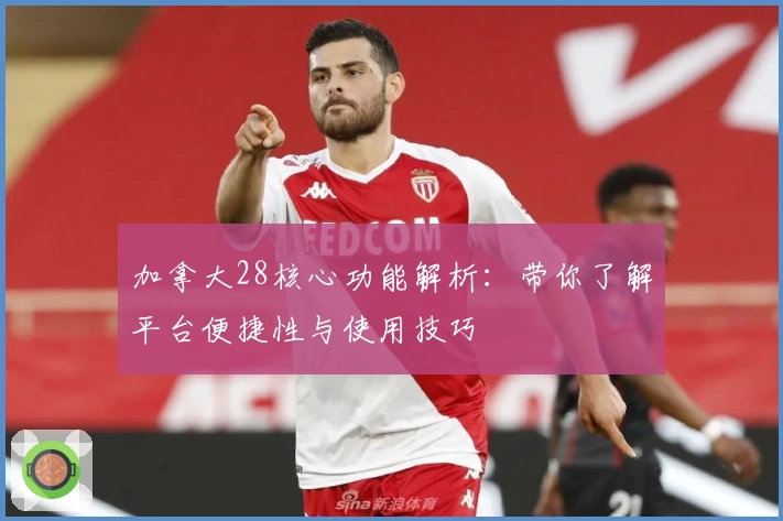 加拿大28核心功能解析：带你了解平台便捷性与使用技巧