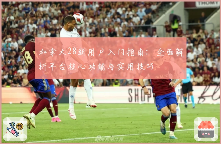 加拿大28新用户入门指南：全面解析平台核心功能与实用技巧