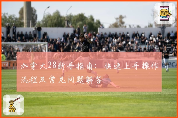 加拿大28新手指南：快速上手操作流程及常见问题解答