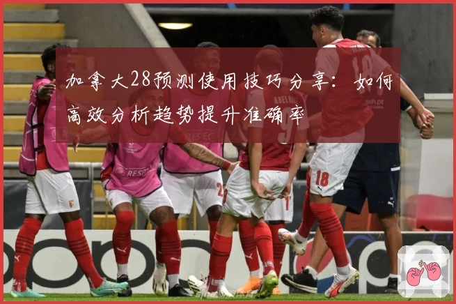 加拿大28预测使用技巧分享：如何高效分析趋势提升准确率