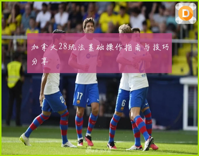 加拿大28玩法基础操作指南与技巧分享