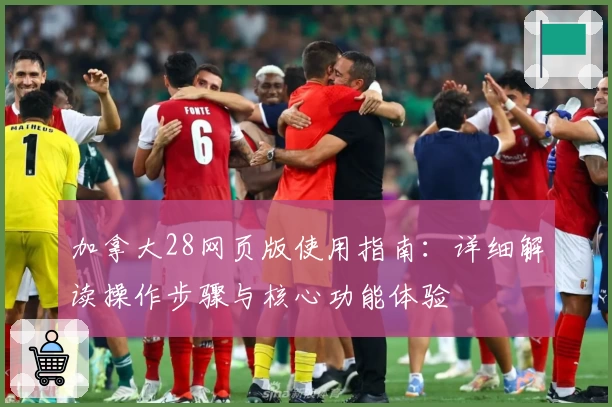 加拿大28网页版使用指南：详细解读操作步骤与核心功能体验