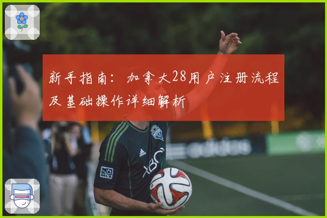 新手指南:加拿大28用户注册流程及基础操作详细解析