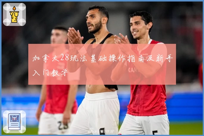 加拿大28玩法基础操作指南及新手入门教学