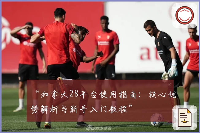 “加拿大28平台使用指南：核心优势解析与新手入门教程”