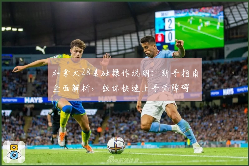 加拿大28基础操作说明:新手指南全面解析,教你快速上手无障碍