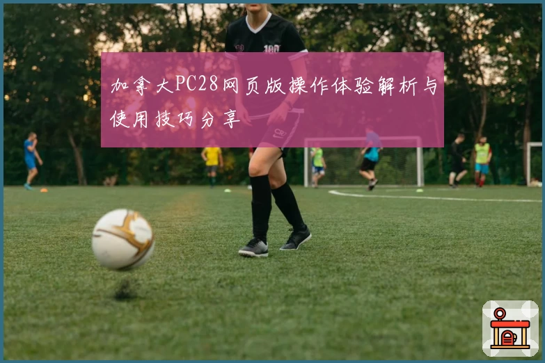 加拿大PC28网页版操作体验解析与使用技巧分享